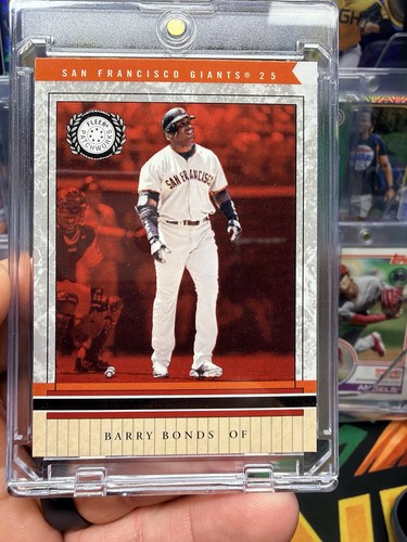 Fleer patchworks 2003 barry - fleer,